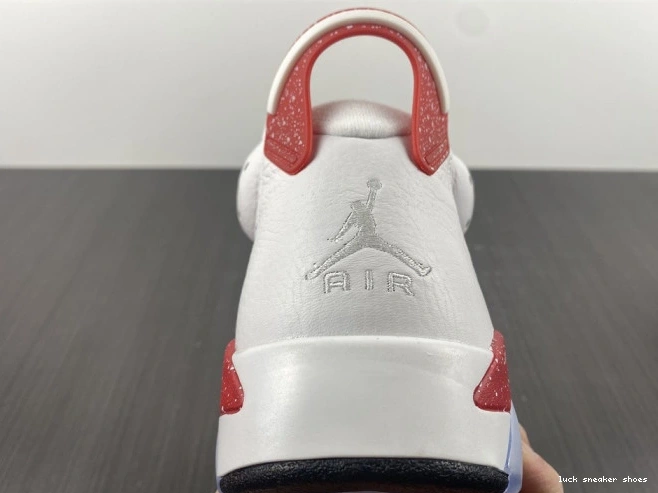 Reps LUCY 6 Jordan CT8529-162 Retro Hare 0713